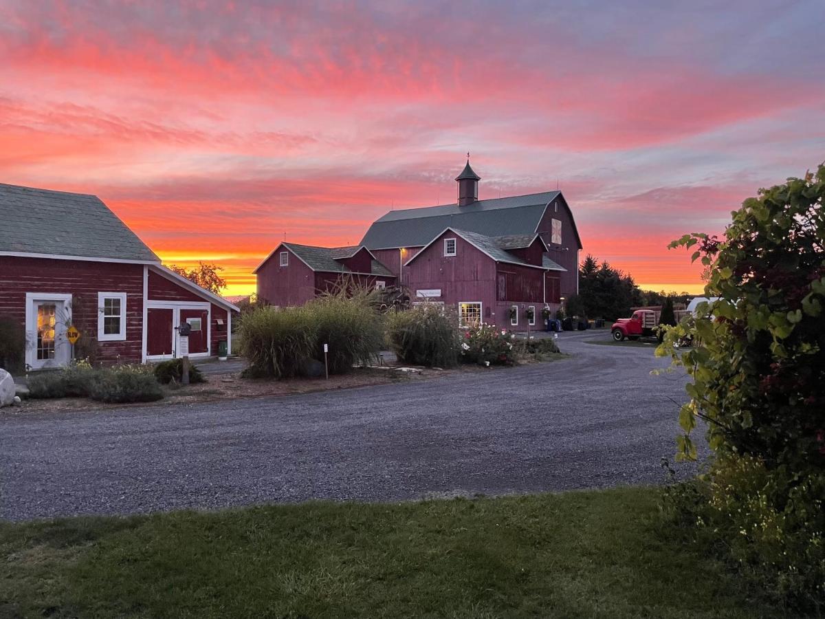 The Eddie Hotel And Farm Bloomfield Exterior photo